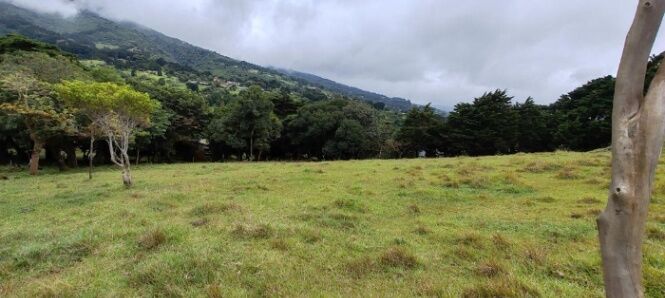 MLS-26-1131 VENTA LOTE SAN RAFAEL HEREDIA in San Rafael, Heredia — $269,500