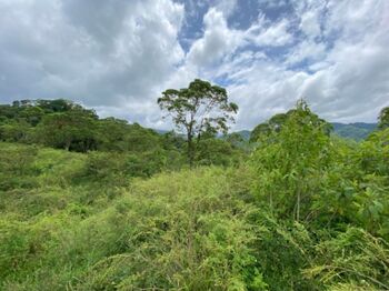 Venta de Lote en San Ramón de Alajuela. RAH 25-1837 in Peñas Blancas, San Ramón, Alajuela — $1,500,000 - Photo 5 of 8