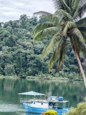 Jungle Oasis: Secluded Paradise in Puerto Jimenez, Costa Rica. en Puerto Jiménez, Golfito, Puntarenas — $5,200,000 - Foto 5 de 123