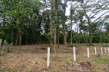 VENTA DE QUINTA, LIMÓN, GUÁPILES, POCOCÍ, QUINTAS EL CORINTO in Guápiles, Pococí, Limón — $65,000 - Photo 4 of 7
