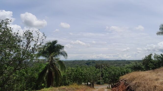 ESPECTACULAR FINCA EN SAN MATEO DE ALAJUELA.  en San Mateo, Alajuela — ₡ 10 000