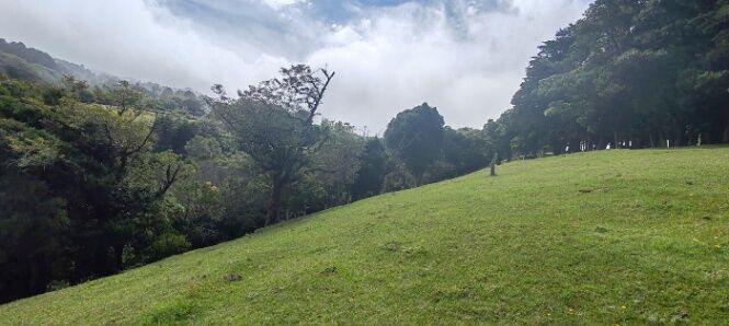 VENTA DE LOTE  93 MIL METROS EN SAN JOSÉ DE LA MONTAÑA. en San José de La Montaña, Barva, Heredia — $1,050,000