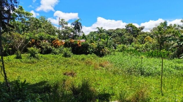 EN VENTA - TERRENO LISTO PARA CONSTRUIR CON POTENCIAL RESIDENCIAL Y COMERCIAL in Cajón, Pérez Zeledón, San José — ₡ 5 000 000