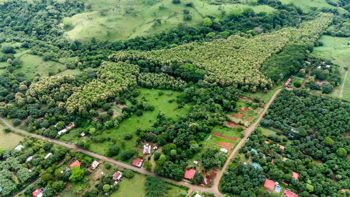 SE VENDE FINCA REFORESTADA EN SANTA RITA OROTINA en Coyolar, Orotina, Alajuela — 200 000 000 ₡ - Foto 2 de 34