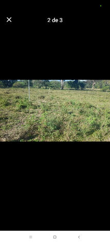 Venta de lotes en Puerto Cortés, Osa, Puntarenas — ₡ 20 000 000