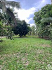 Se vende linda propiedad en San Pedro de Pérez Zeledón  en San Pedro, Pérez Zeledón, San José — 65 000 000 ₡ - Foto 5 de 10