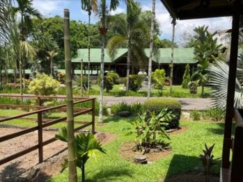 Farm For Sale Monterrey, San Carlos, Alajuela