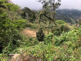 Se vende lote Tarbaca, San Jose, Costa Rica in Tarbaca, Aserrí, San José — $262,150 - Photo 5 of 6