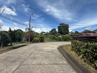 Terreno Premium en Pérez Zeledón, Costa Rica - Ideal para Desarrollo en Cajón, Pérez Zeledón, San José — $50,000 - Foto 5 de 6