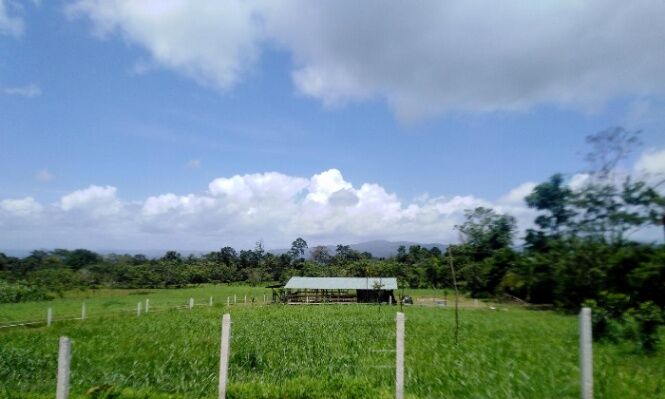 Finca con vistas a dos volcanes cerca del Río Celeste en Katira, Guatuso, Alajuela — ₡ 115 000 000