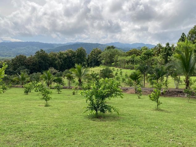 VENTA DE QUINTA, PUNTARENAS, GARABITO, TARCOLES. in Jacó, Garabito, Puntarenas — $325,000