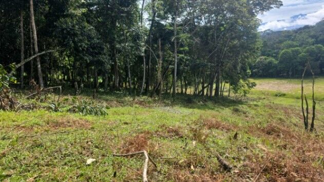 Lote en Pavones in San Isidro De El General, Pérez Zeledón, San José — ₡ 600 000 000