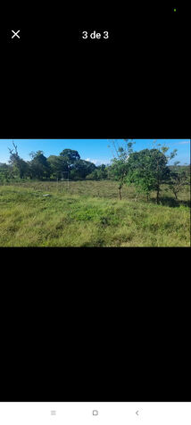 Venta de lotes en Puerto Cortés, Osa, Puntarenas — ₡ 20 000 000