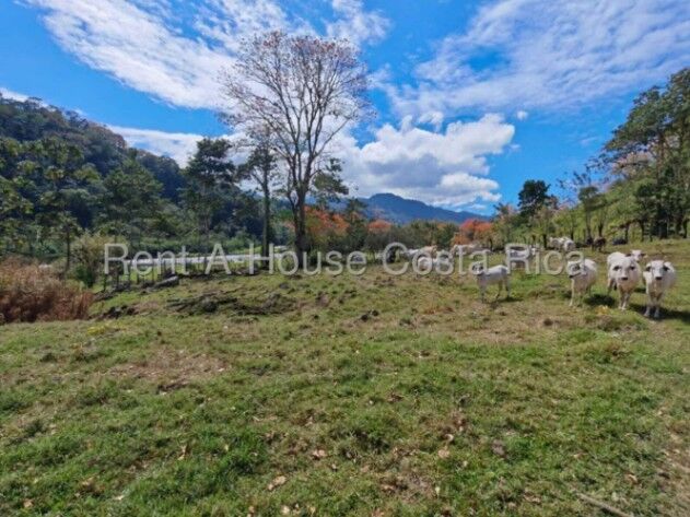 Venta de Finca en Turrialba de Cartago. RAH 26-1444 en Turrialba, Cartago — $3,500,000