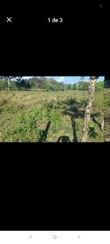 Venta de lotes en Puerto Cortés, Osa, Puntarenas — ₡ 20 000 000