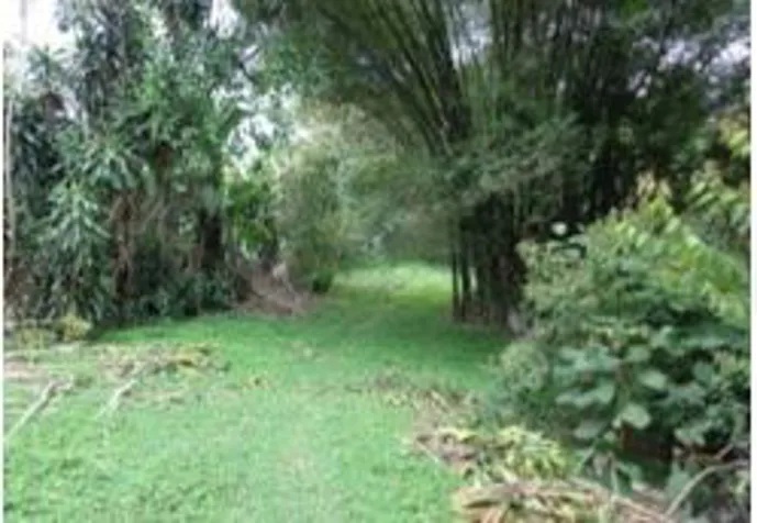 FOR SALE LOT, BANK BARGAIN, CAJÓN PÉREZ ZELEDÓN in Cajón, Pérez Zeledón, San José — $59,839 - Photo 2 of 4