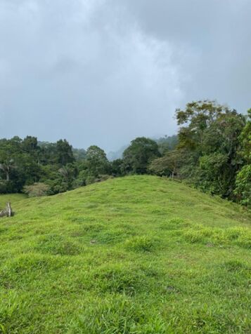SE VENDE BELLA Y GRANDE FINCA EN SIQUIRRES, LIMÓN.  in Pacuarito, Siquirres, Limón — $800,000