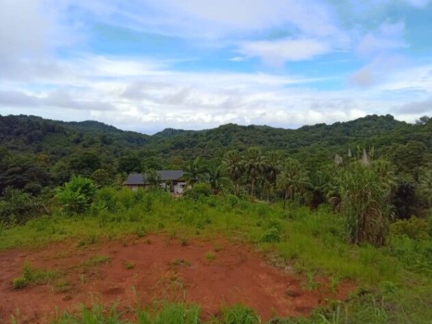 Terreno ,plano listo para construir . en Puerto Cortés, Osa, Puntarenas — $500,000