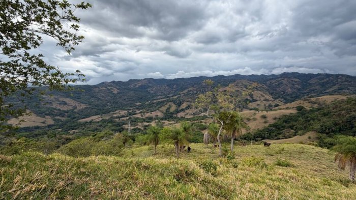Gran finca con vistas impresionantes al Pacífico y al bosque. en Orotina, Alajuela — $1,995,000 - Foto 3 de 9