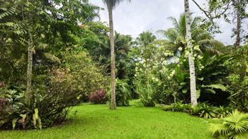 Preciosa Quinta en La Tigra en La Tigra, San Carlos, Alajuela — 130 000 000 ₡ - Foto 5 de 27