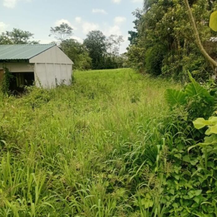 SE VENDE GRANDE Y BELLA PROPIEDAD EN ZONA FLUCA, FORTUNA DE SAN CARLOS.  en La Fortuna, San Carlos, Alajuela — ₡ 77 000 000