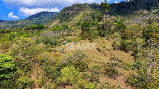 SE VENDE FINCA DE 2.8 HA EN SAN LUIS DE MORETE | VISTA A LA MONTAÑA Y CERCA DEL MAR in San Isidro De El General, Pérez Zeledón, San José — $190,000