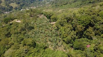 TERRENO EN VENTA EN LA FILA, RIVAS – FINCA DE CAFÉ Y BANANO CERCA DEL CHIRRIPÓ en Rivas, Pérez Zeledón, San José — $78,000 - Foto 5 de 18