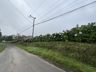 Terreno en venta en Las Nubes de Coronado 2 .1 hectareas