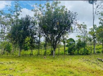 Venta de Finca  en Katira, Guatuso, Alajuela — 75 000 000 ₡ - Foto 3 de 7