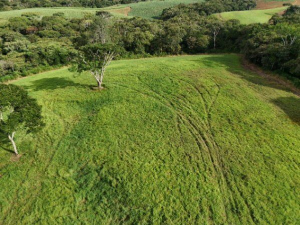 SE VENDE TERRENO LISTO PARA CONSTRUIR CERCA DEL AEROPUERTO CON ALTO POTENCIAL DE DESARROLLO en San Isidro De El General, Pérez Zeledón, San José — ₡ 300 000 000