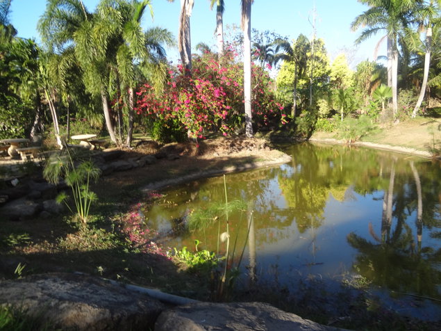 Finca 20 Ha 1 Km oeste de Aeropuerto Daniel Oduber en Liberia, Guanacaste — $5,000,000 - Foto 3 de 7