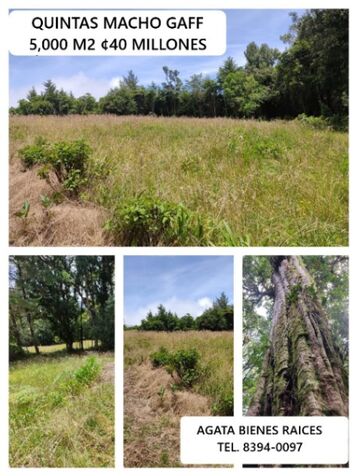 QUINTAS DE 5.000 M2 EN MACHO GAFF en San Isidro, El Guarco, Cartago — ₡ 40 000 000