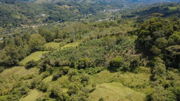 TERRENO EN VENTA EN TIRRÁ DE RIVAS – PRIVACIDAD, NATURALEZA Y HERMOSOS AMANECERES en Rivas, Pérez Zeledón, San José — $235,000