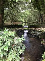Quinta para la venta con lagos y árboles en Santa Clara de Florencia in Florencia, San Carlos, Alajuela — $675,000 - Photo 5 of 8