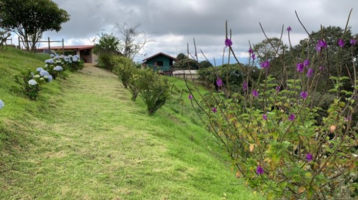 VENTA DE QUINTA, CARTAGO, LLANO GRANDE in Llano Grande, Cartago — $320,000 - Photo 3 of 15