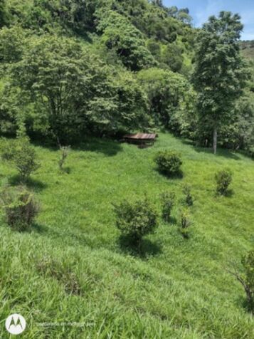 Invierte en un paraíso natural con alto potencial de plusvalía, Acosta, San José, Costa Rica. in Guaitil, Acosta, San José — ₡ 75 000 000