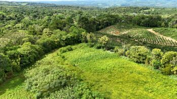 Land For Sale Cajón, Pérez Zeledón, San José