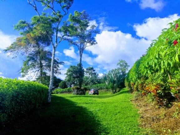 MLS-24-1503 VENTA LOTE TILARAN GUANACASTE en Tilarán, Guanacaste — $125,000