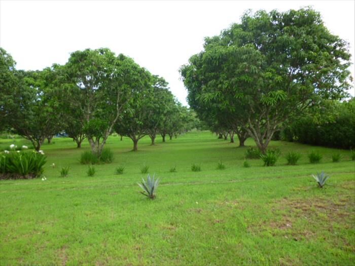 Propiedad en zona de Orotina in La Ceiba, Orotina, Alajuela — $682,000