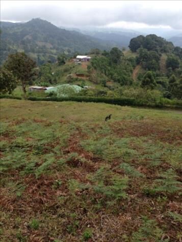 SE VENDE ESPECTACULAR FINCA EN DESAMPARADOS, SAN JOSÉ.  en San Cristóbal, Desamparados, San José — ₡ 120 000 000