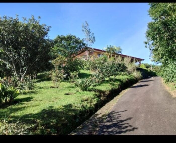 Se vende quinta en cabuyal de San Juan norte en San Juan, Poás, Alajuela — ₡ 300 000 000