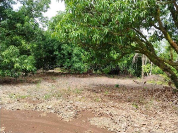 Venta de Lote en San Mateo-Labrador. RAH 26-2228 en Labrador, San Mateo, Alajuela — ₡ 123 180 000