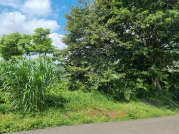 Venta de Lote en Palmares de Alajuela. in La Granja, Palmares, Alajuela — 1 040 000 000 ₡ - Photo 5 of 11