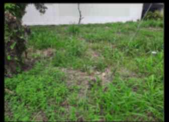 Se vende Lote en zona de alta plusvalía en La Fortuna .  en La Fortuna, San Carlos, Alajuela — ₡ 70 000 000