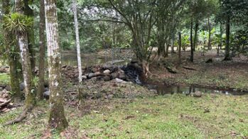 SE VENDE ESPECTACULAR PROPIEDAD EN VALLE AZUL DE SAN RAMÓN.  en Peñas Blancas, San Ramón, Alajuela — 215 000 000 ₡ - Foto 4 de 27