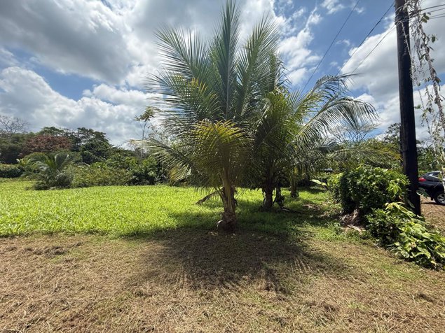 Venta de terreno en San Ramón de Alajuela en San Lorenzo, San Ramón, Alajuela — ₡ 35 000 000 - Foto 2 de 7