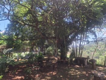 Propiedad con casa amueblada y piscina en Acosta en Guaitil, Acosta, San José — 125 000 000 ₡ - Foto 4 de 20