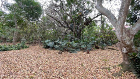 Oasis natural con uso mixto en Escazú #26-1249 GS in Escazú, San José — $2,000,000