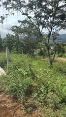 🌿 Hermoso lote de 763m² en Calle Rodríguez de Grecia 🌿 en San Isidro, Grecia, Alajuela — 45 000 000 ₡ - Foto 4 de 4