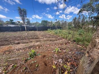 ¡Tu Futuro Comienza Aquí! Lote con Ubicación Privilegiada en Palmares  en Zaragoza, Palmares, Alajuela — 43 000 000 ₡ - Foto 5 de 5
